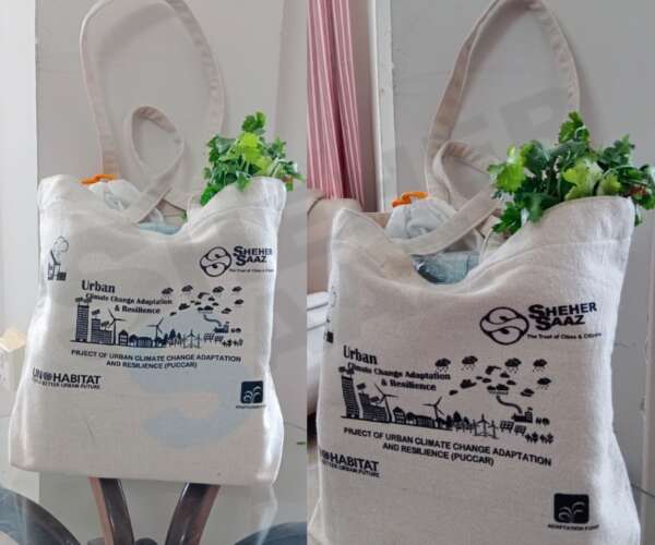 Say No To Plastic Bags (3)